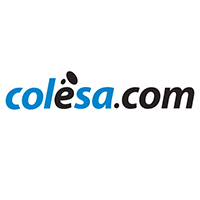 логотип Colesa